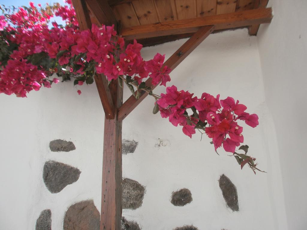 Finca Las Palmeras Icod De Los Vinos Extérieur photo
