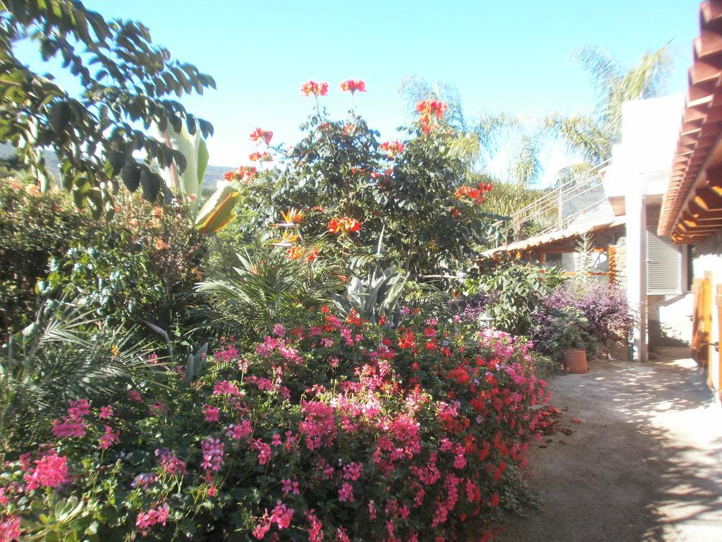 Finca Las Palmeras Icod De Los Vinos Chambre photo