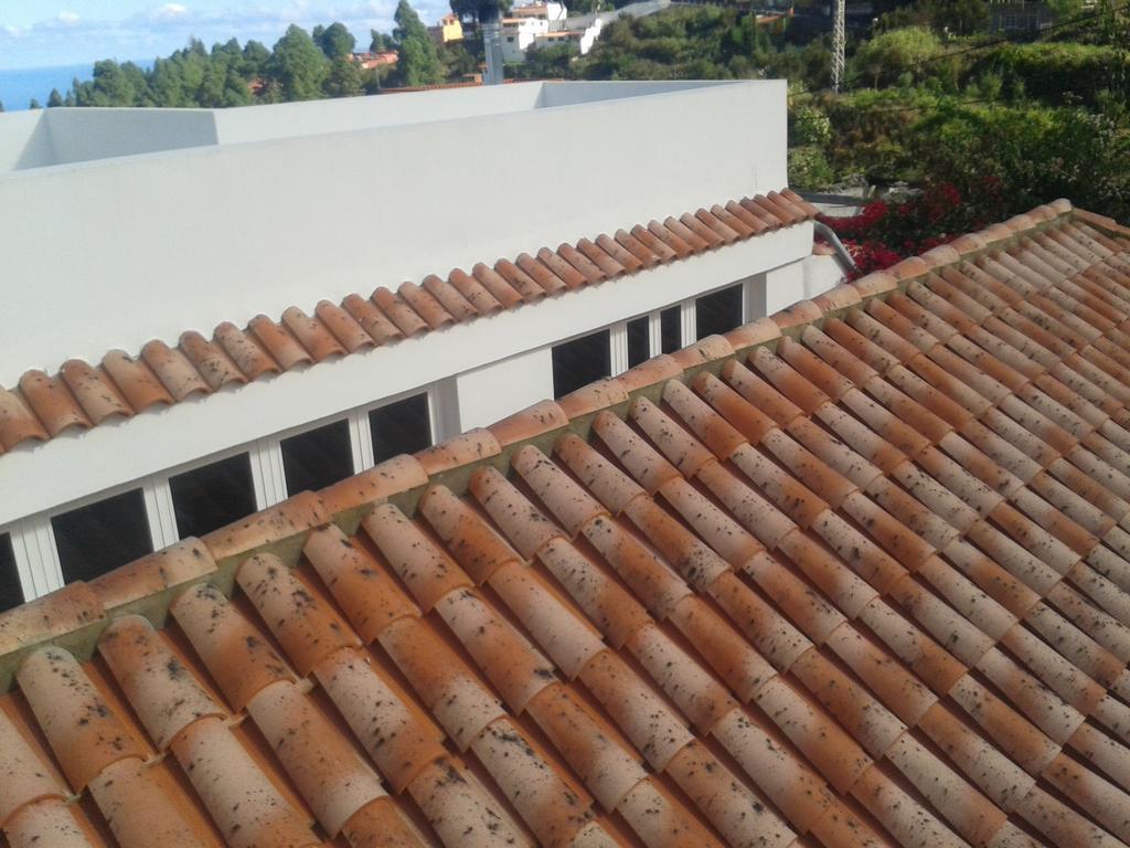Finca Las Palmeras Icod De Los Vinos Chambre photo
