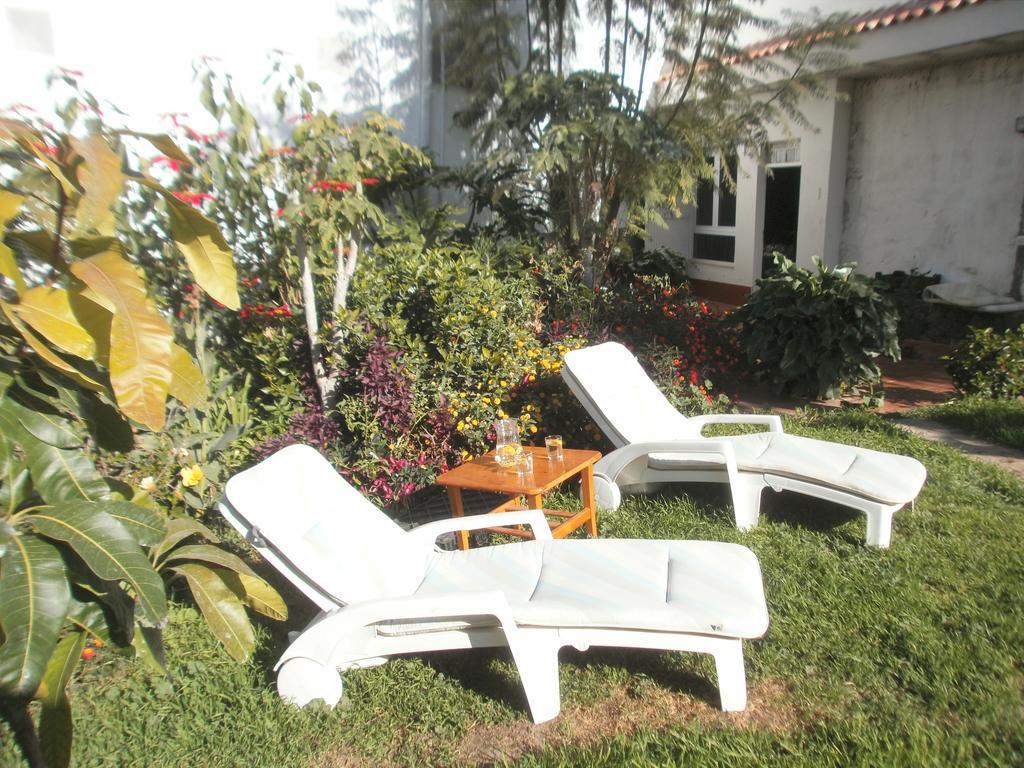 Finca Las Palmeras Icod De Los Vinos Extérieur photo