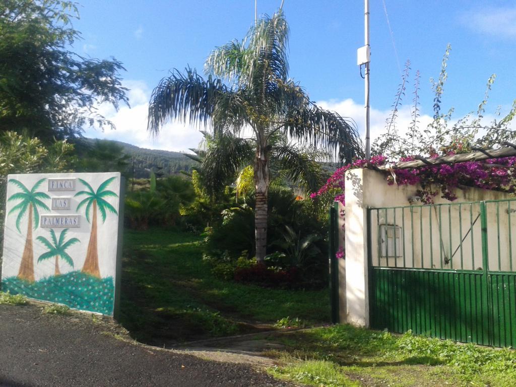 Finca Las Palmeras Icod De Los Vinos Extérieur photo