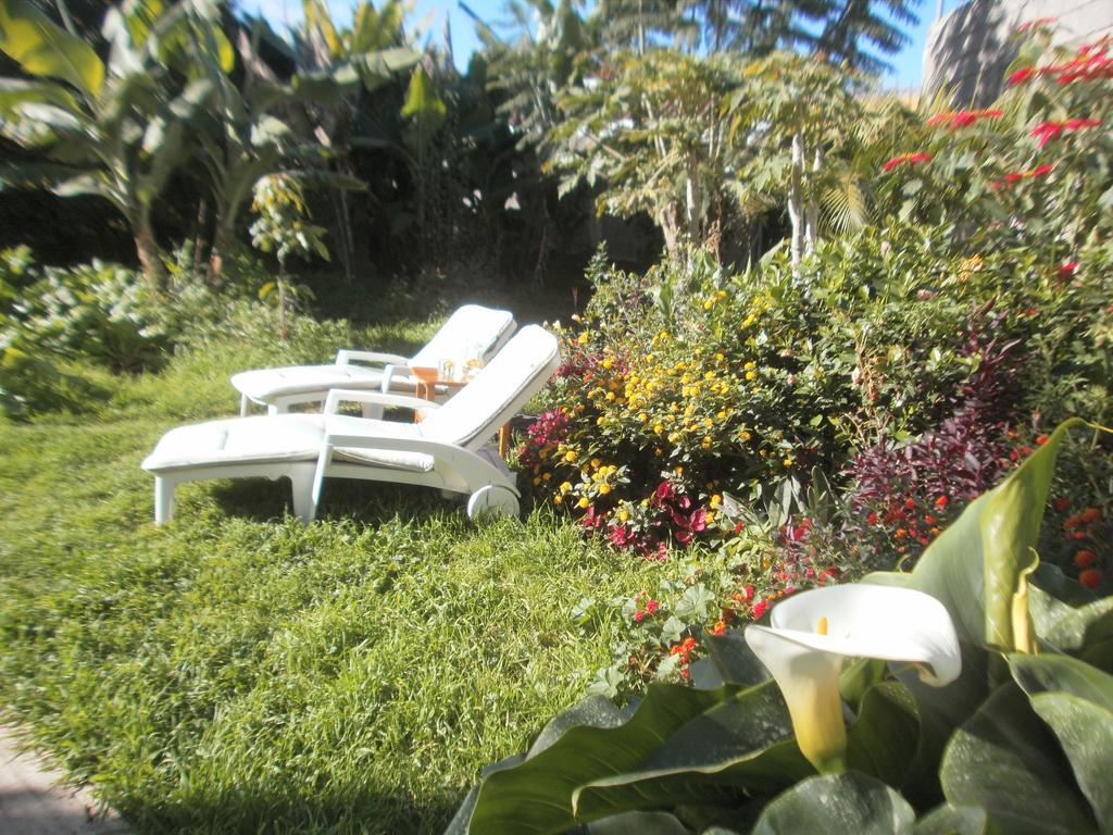 Finca Las Palmeras Icod De Los Vinos Chambre photo