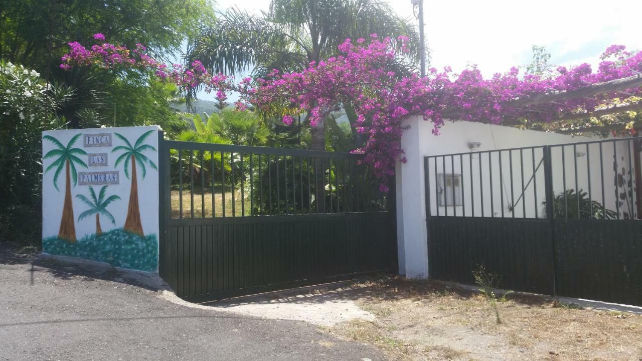 Finca Las Palmeras Icod De Los Vinos Extérieur photo
