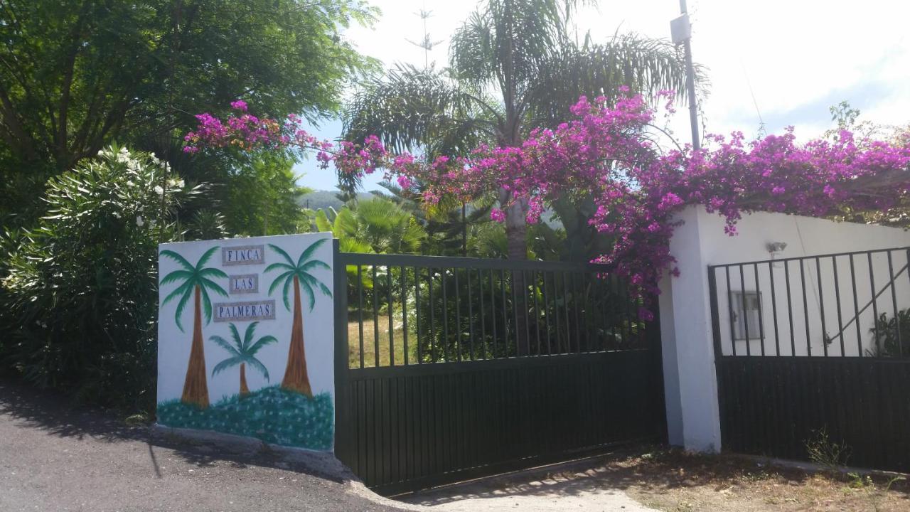Finca Las Palmeras Icod De Los Vinos Extérieur photo